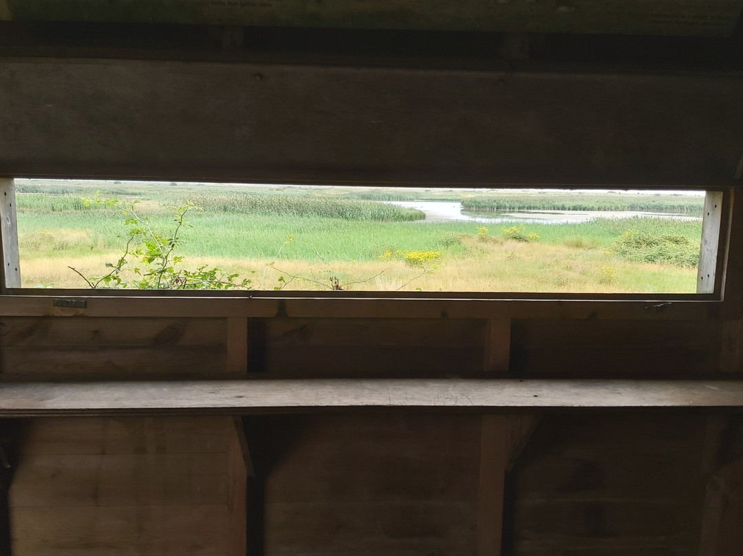 Oare Marshes Nature Reserve景点图片