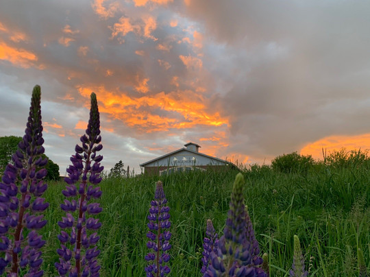 North Coast Inn & Chalets主图