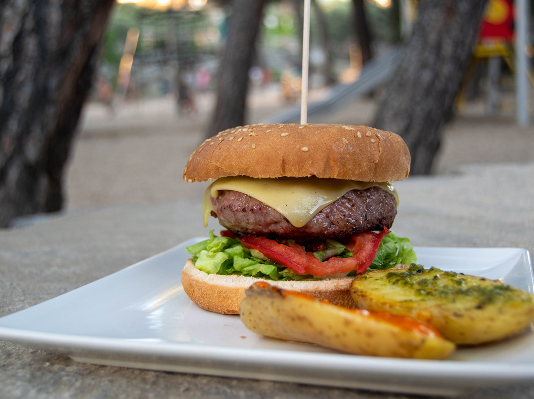Aventura Torrelino-托雷洛多内斯必去景点