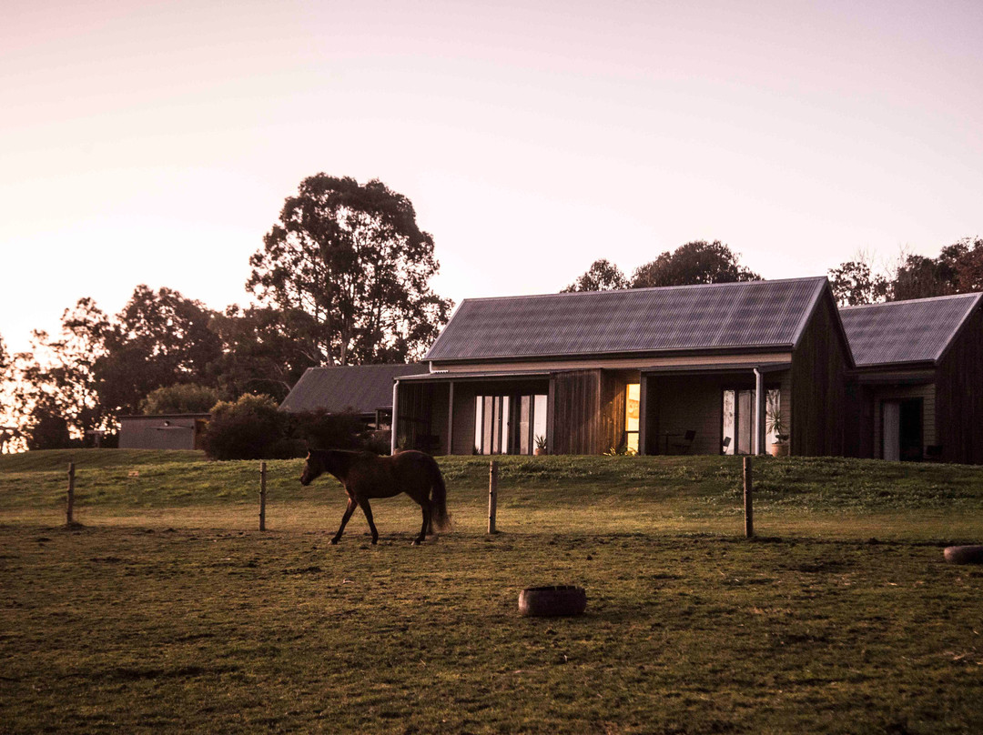 Spring Spur Stay主图