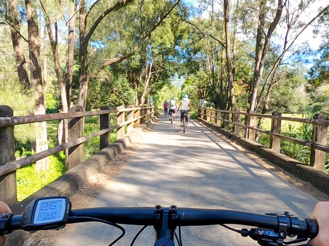 Beyond Byron E Bike Tours - Mullumbimby景点图片