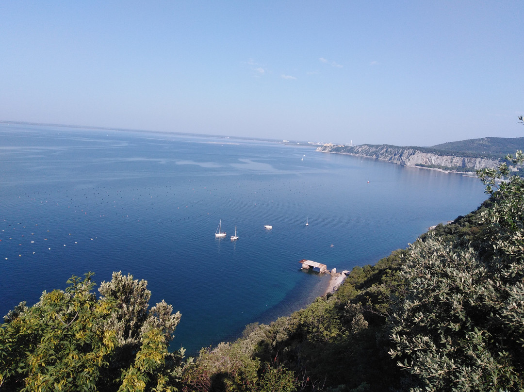 Spiaggia Canovella de' Zoppoli景点图片