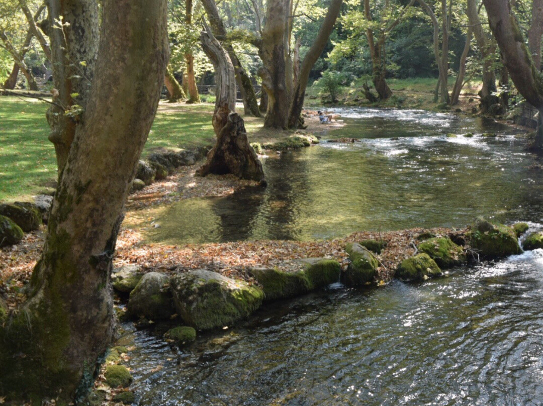 Agios Nikolaos Park-Naousa必去景点