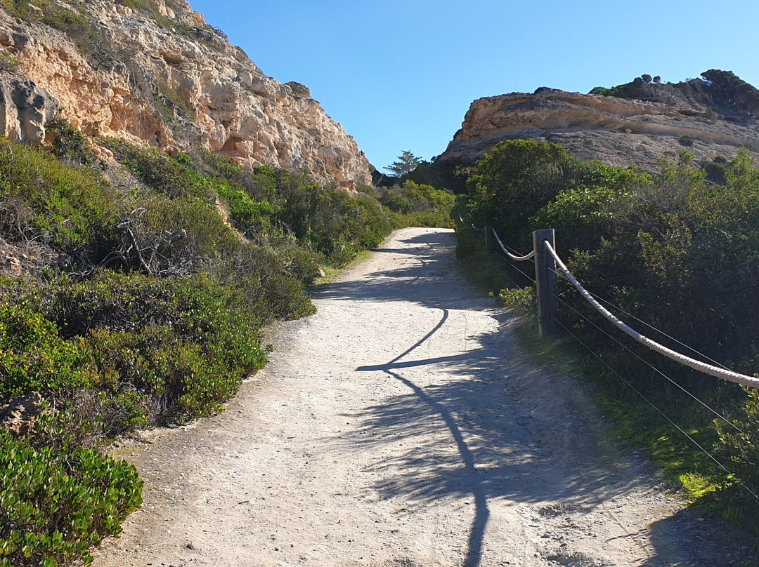 Stenhouse Bay Jetty-Inneston必去景点