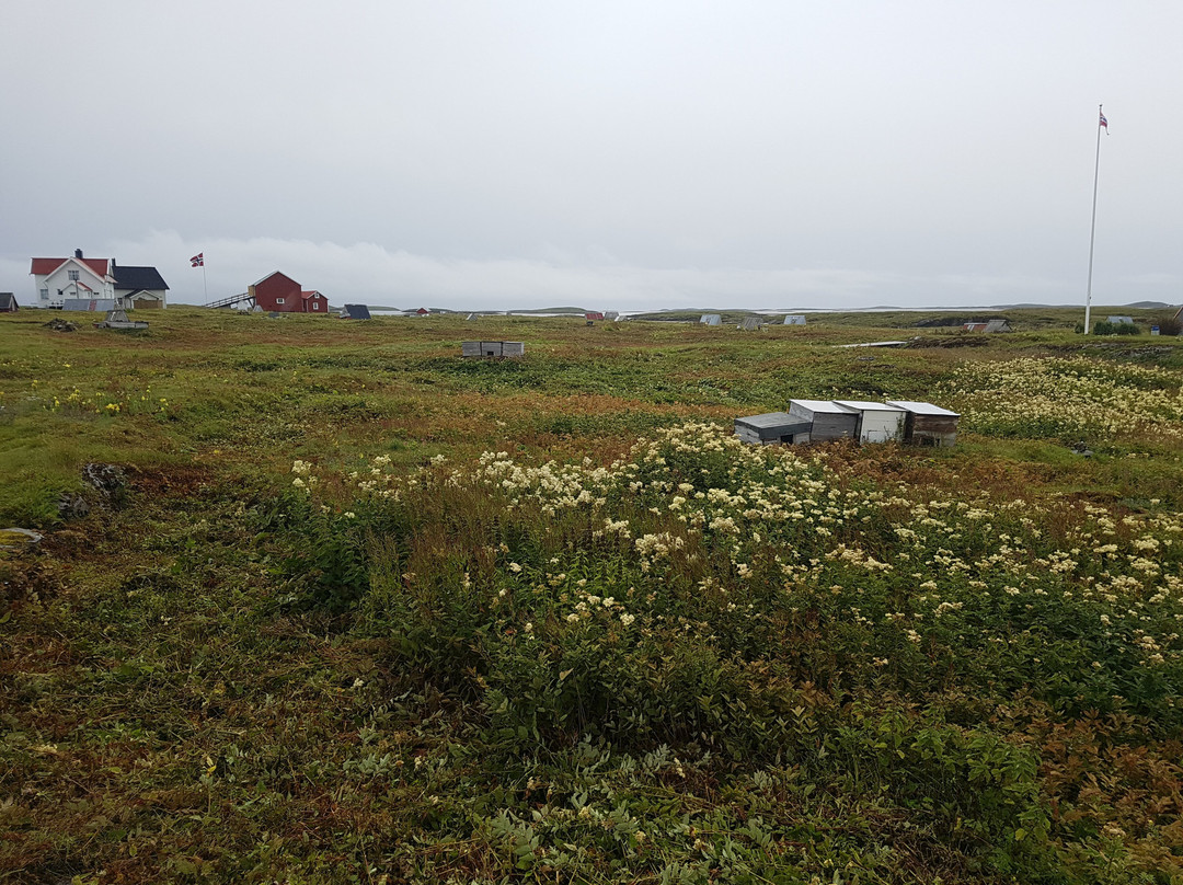 Utværet Lanan景点图片