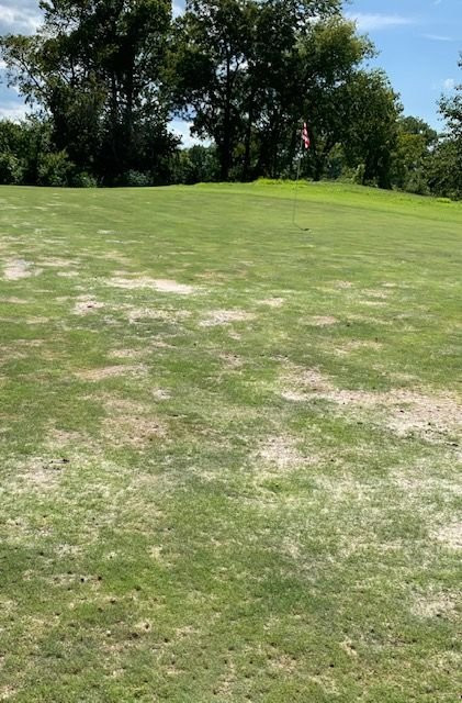 King's Creek Golf Club-Spring Hill必去景点