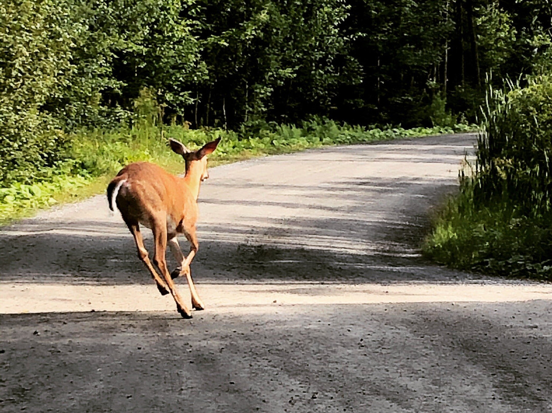 Parc National de Frontenac-Saint-Romain必去景点