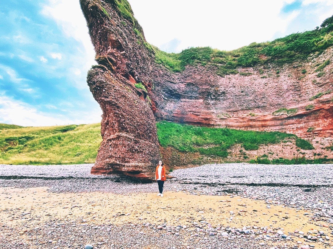 Arbroath Cliffs-Arbroath必去景点