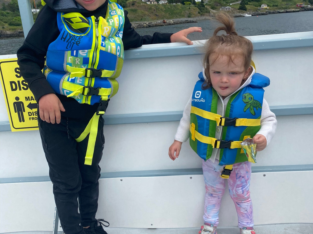 Gatherall's Puffin and Whale Watch-Bay Bulls必去景点