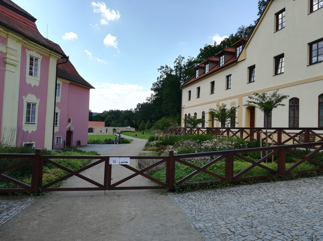 Zamek Mitrowicz景点图片