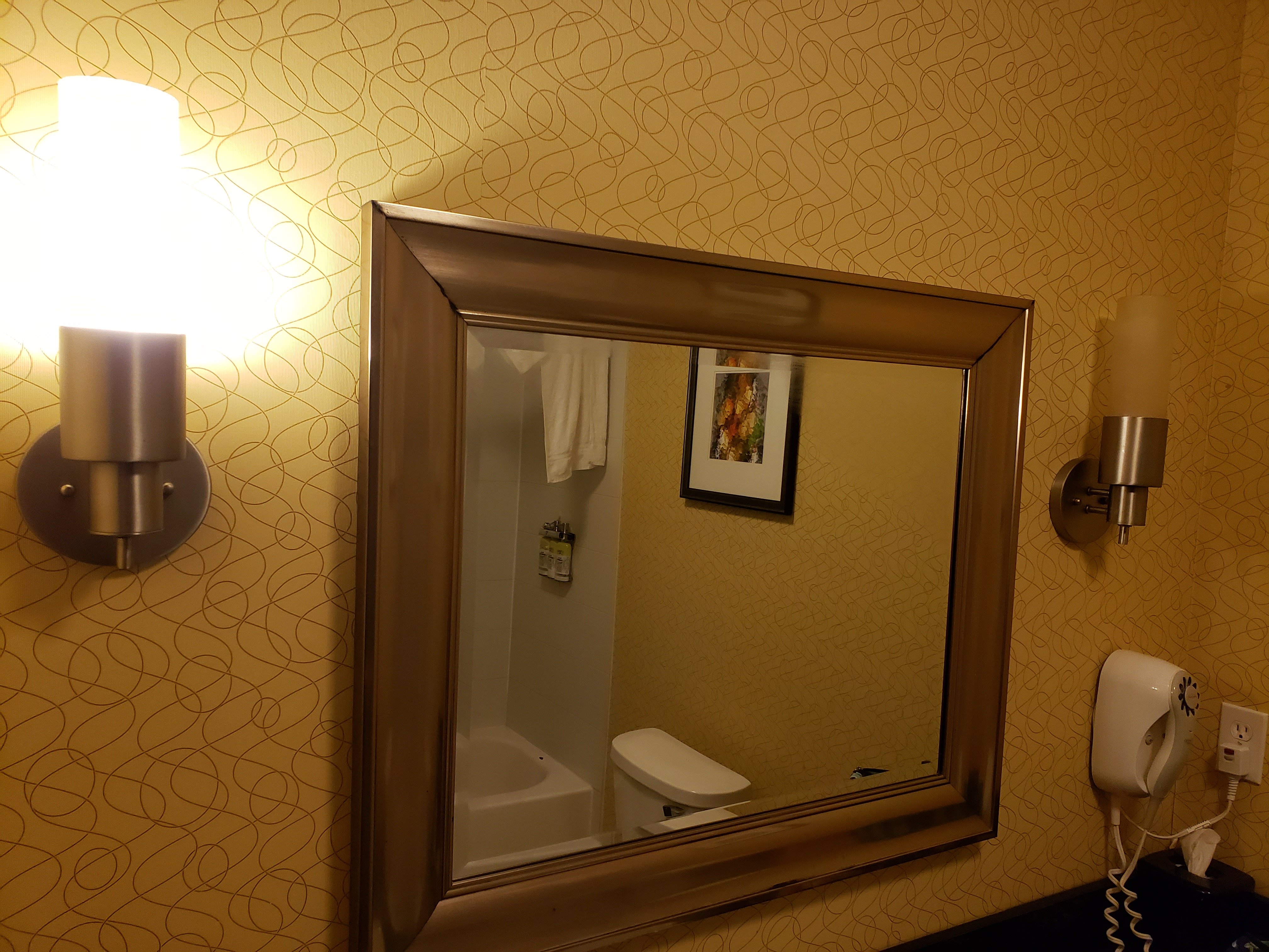 Holiday Inn Express & Suites Detroit North - Troy By IHG-浴室