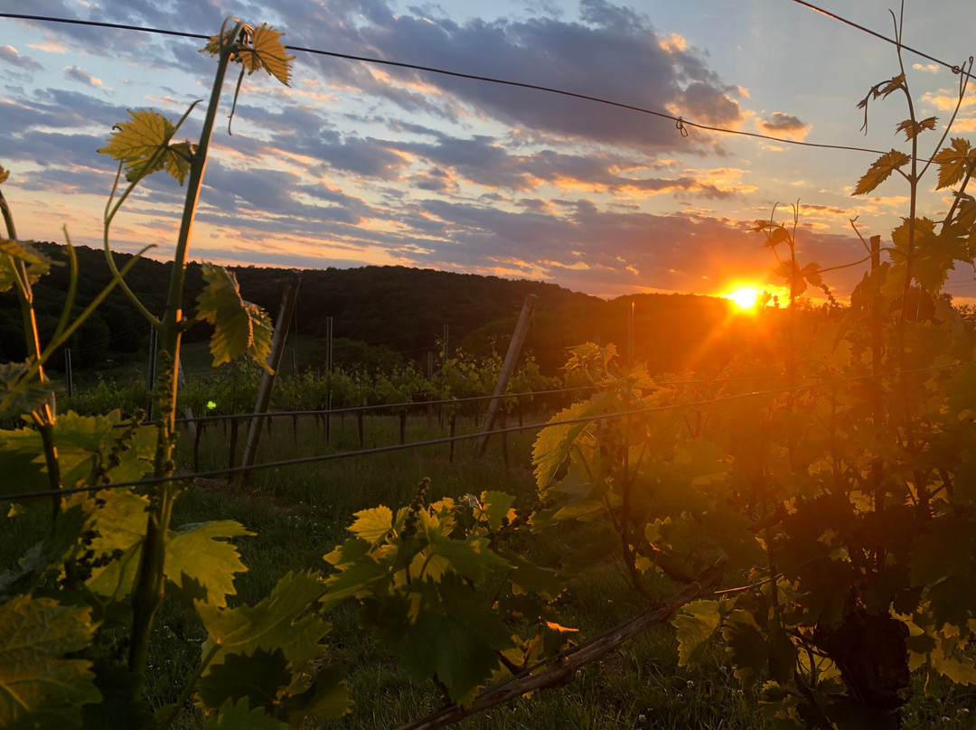 Bahnerlebnis Steiermark