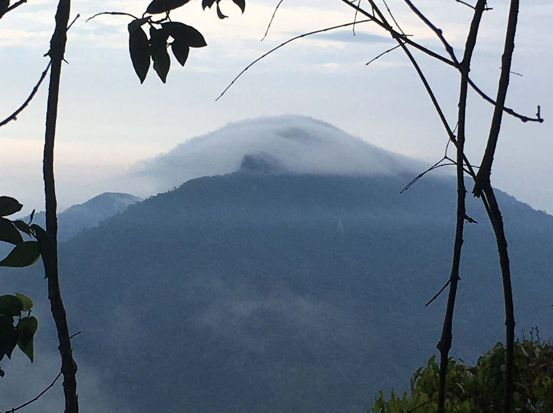 Gunung Irau (Mount Irau)-碧兰璋必去景点
