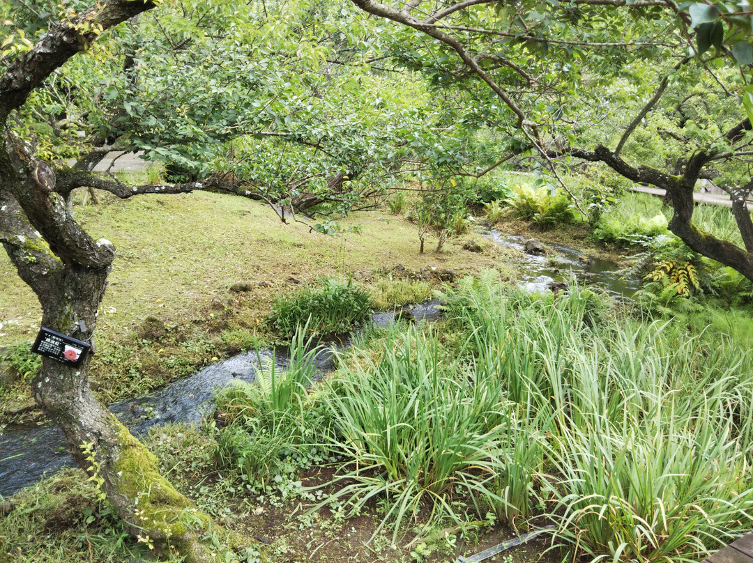 Odawara Flower Garden-小田原市必去景点