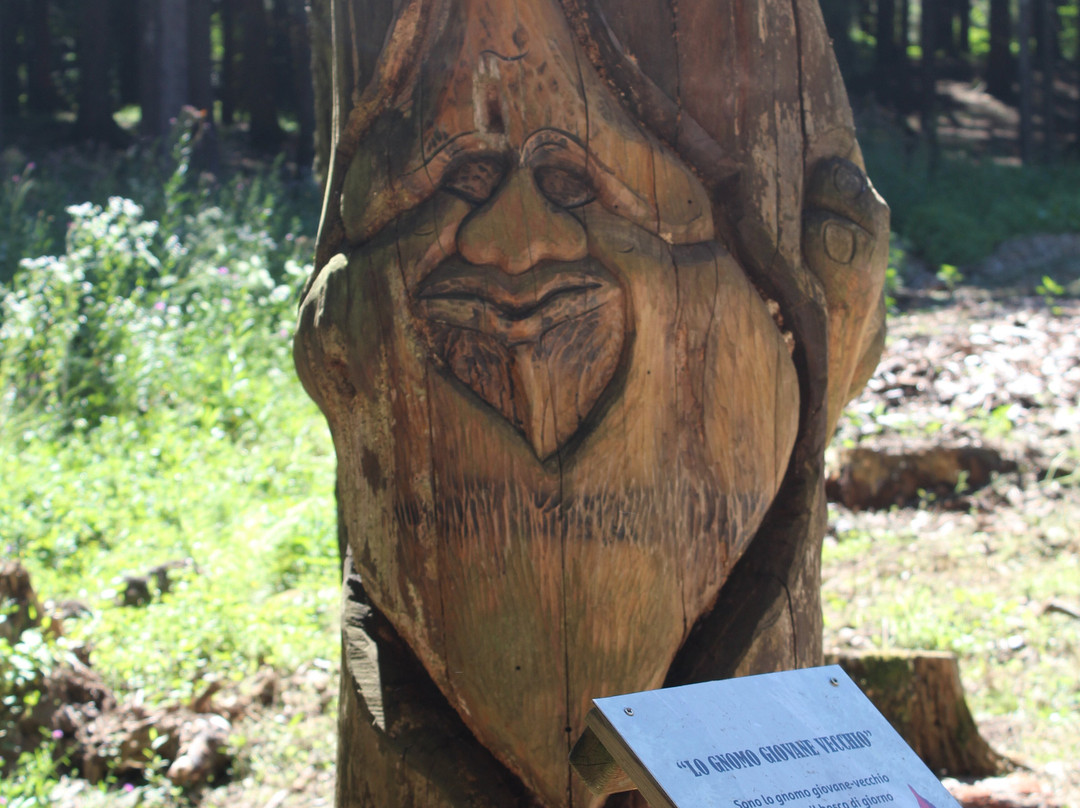 Sentiero degli Gnomi - Pineta Albere-Tenna必去景点