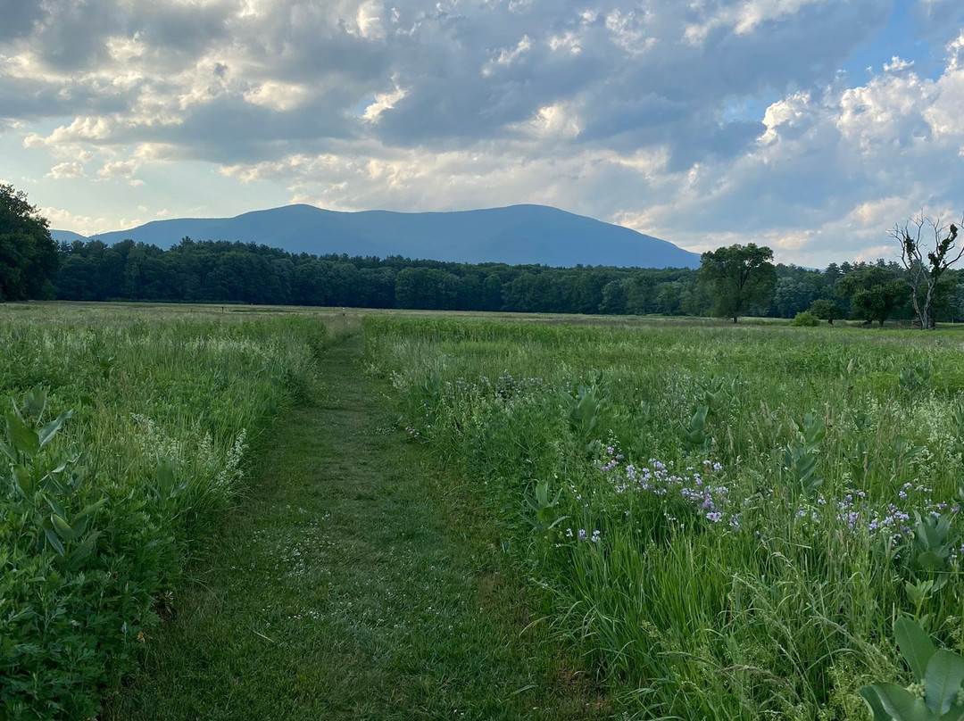 Catskill Center Thorn Preserve景点图片