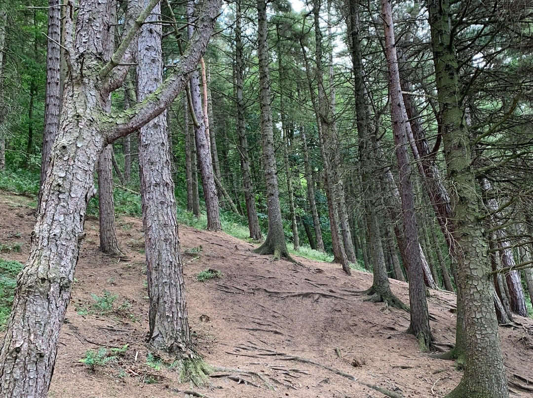 Langsett Reservoir景点图片