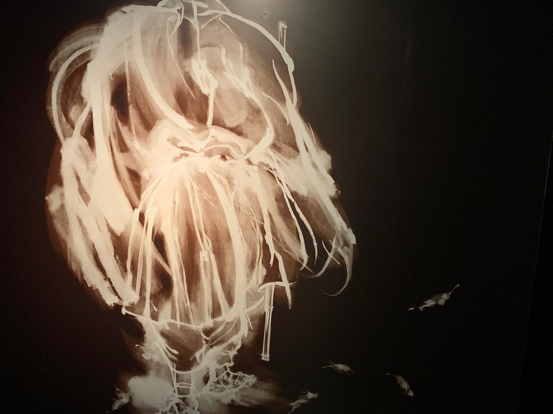 Oku no Hosomichi Musubi no Chi Memorial Hall-大垣市必去景点