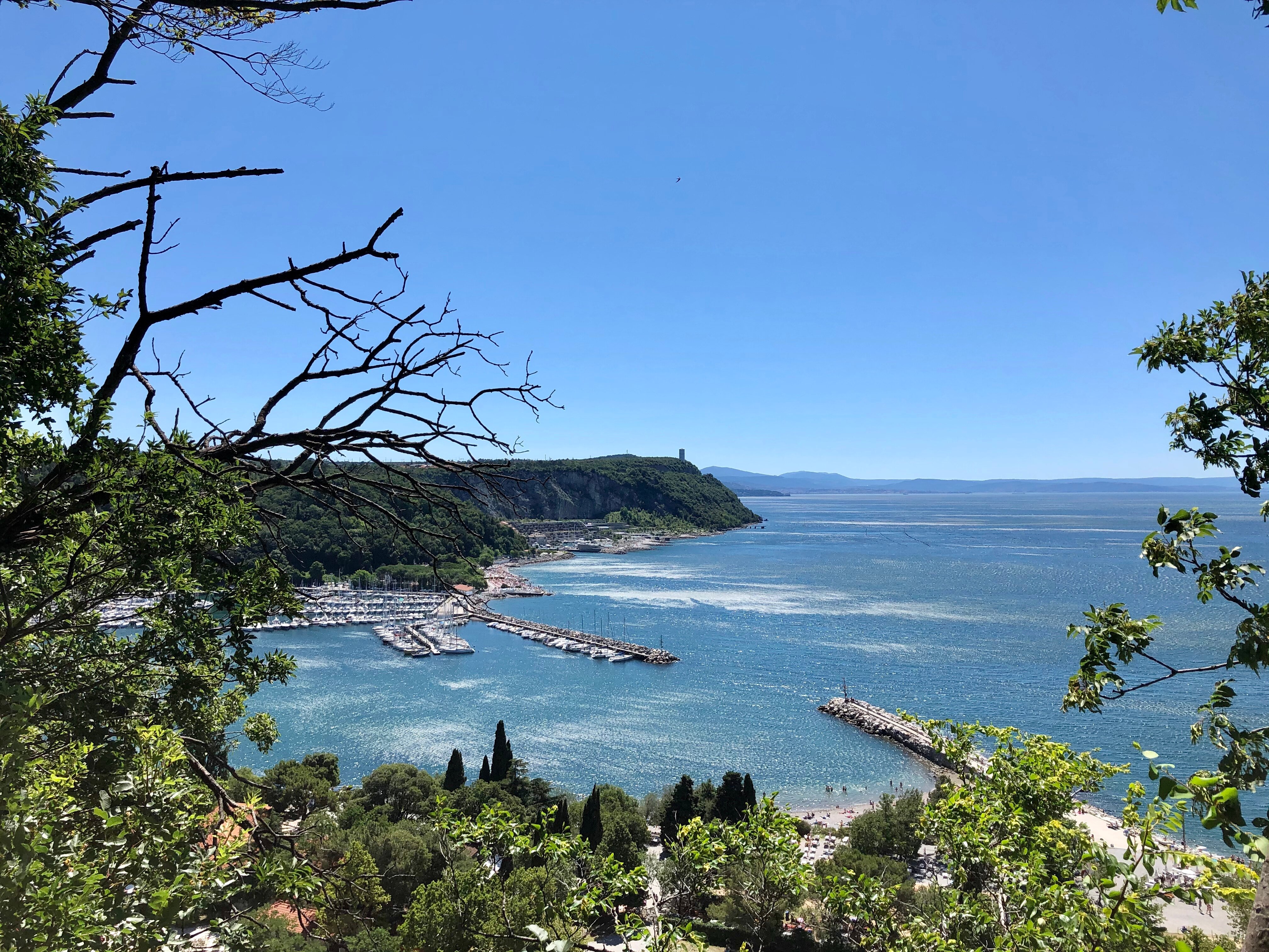 B&B Strupetou-官方