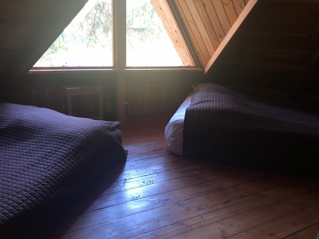 Out 'n' About Treehouse Treesort主图