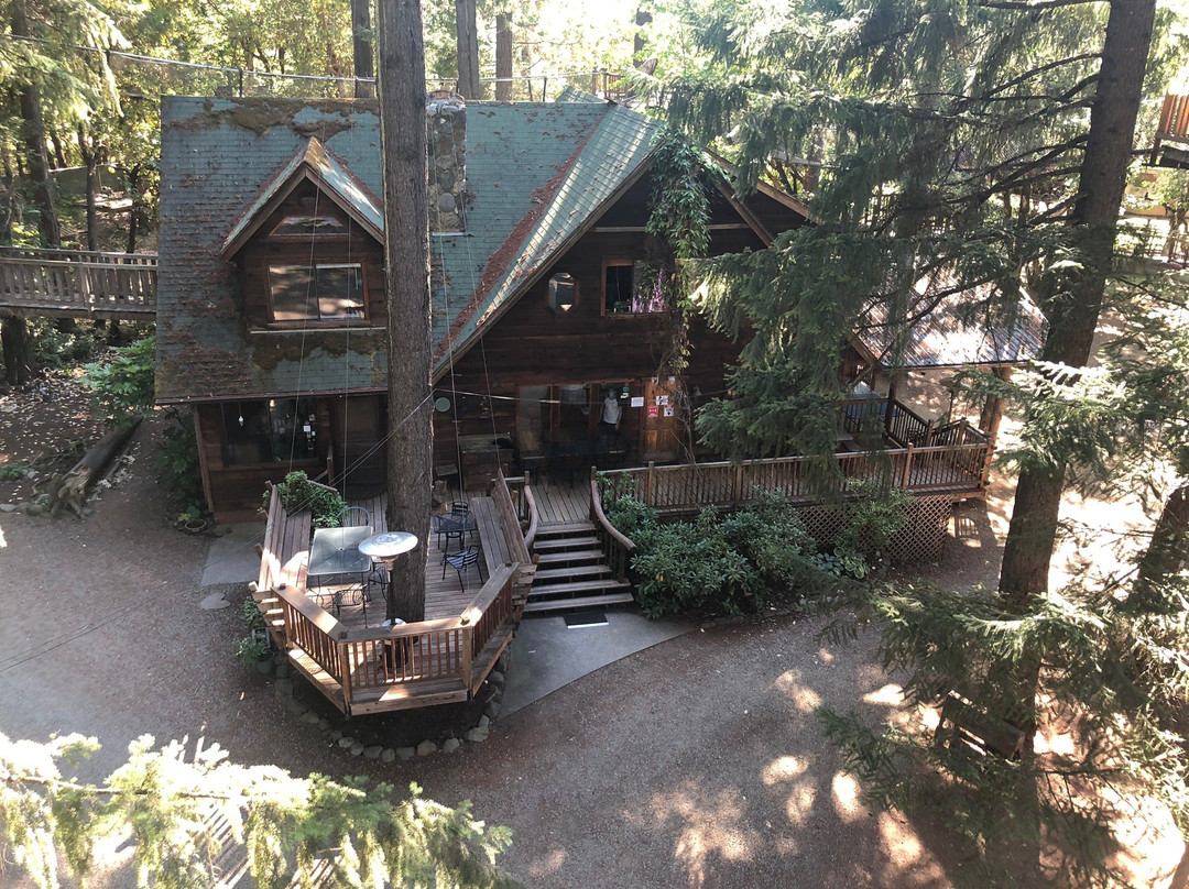 Out 'n' About Treehouse Treesort主图