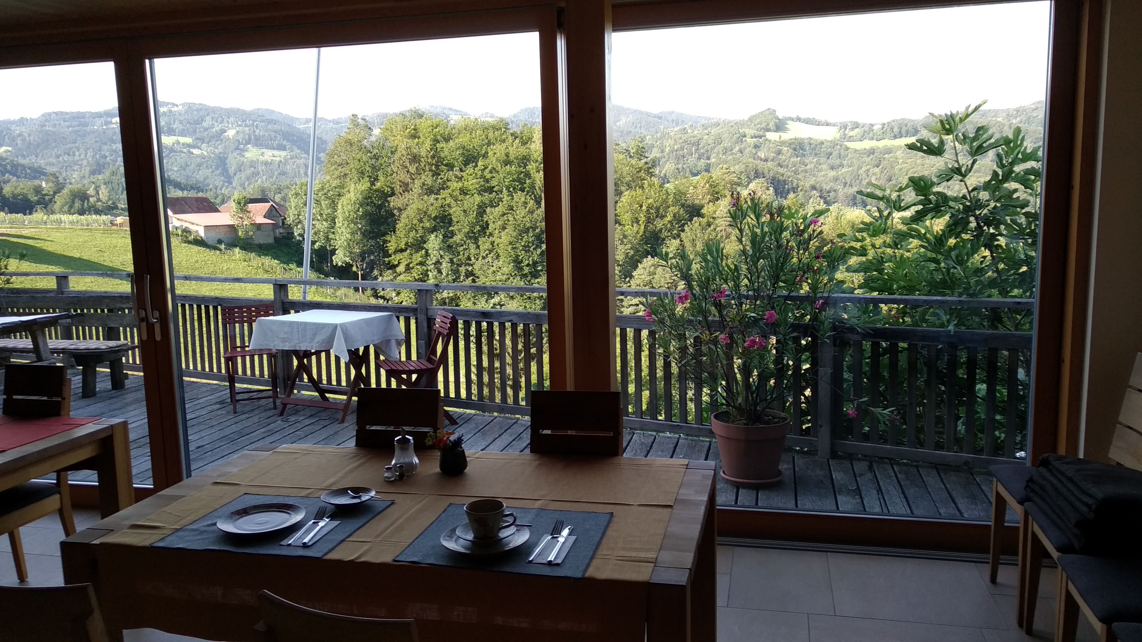 Weingut Spitzy Peitler-官方