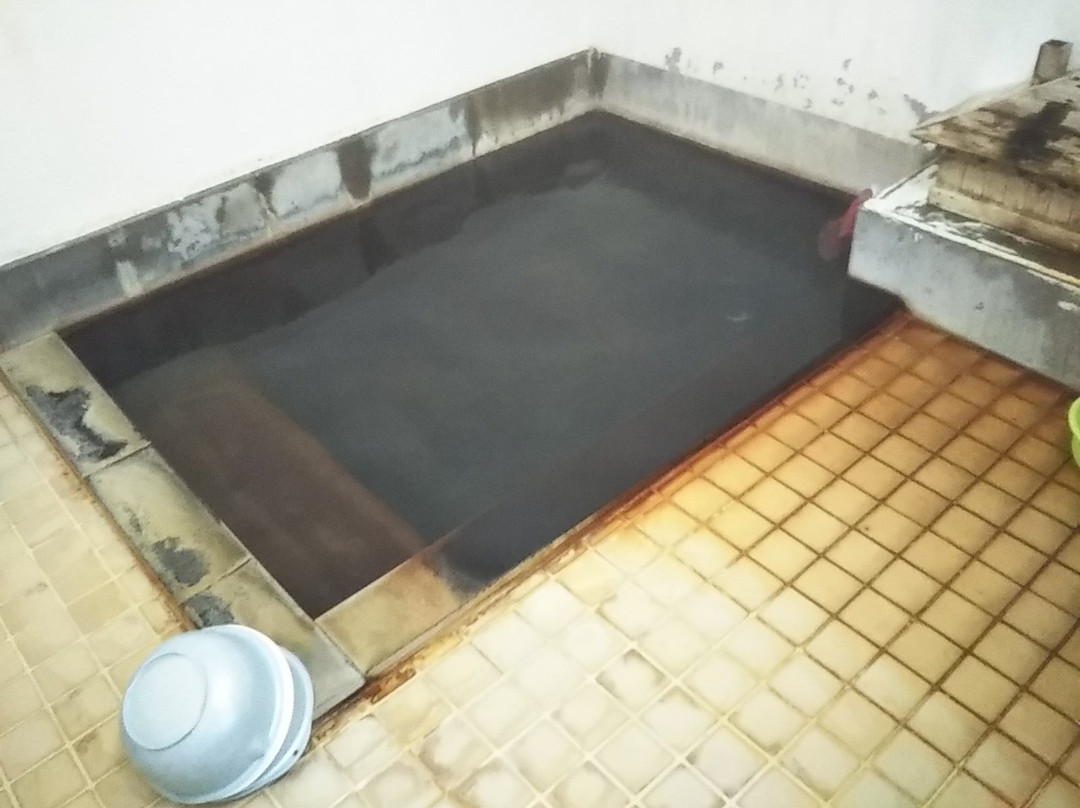 Hanesawa Onsen Kyodo Yokujo景点图片