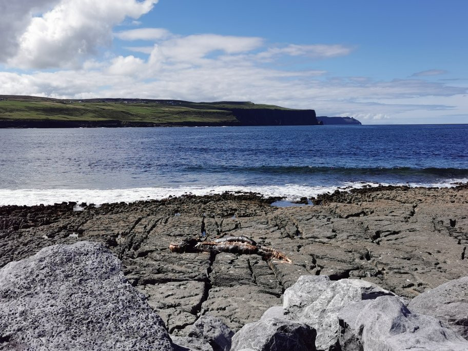 Doolin Pier景点图片