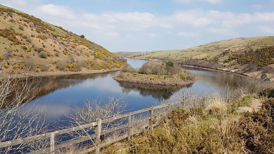 Heart of Dartmoor Guided Walks景点图片