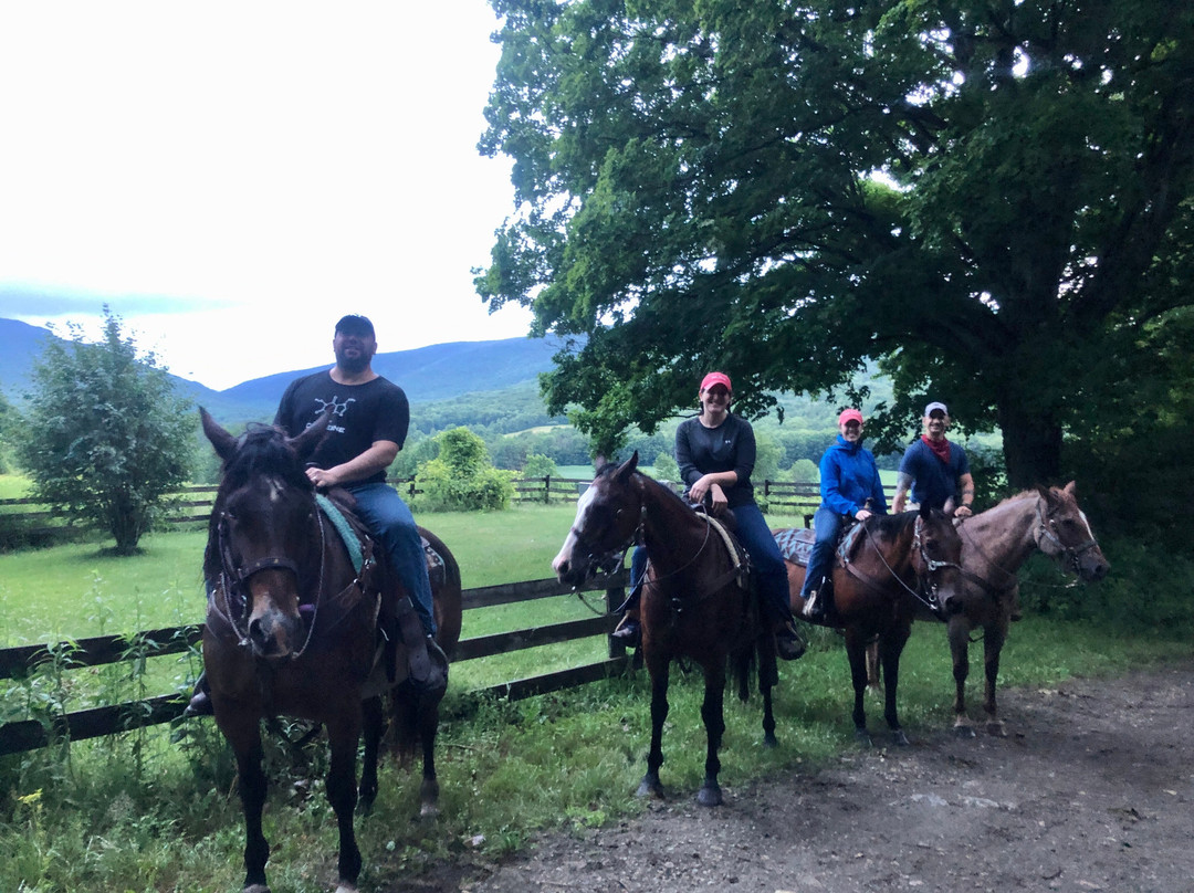 Chipman Stables-Danby必去景点