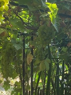 Kessem Bemaga Spa-Or Yehuda必去景点