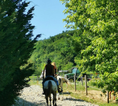 Zavattarello餐馆和美食-Agriturismo La Valle