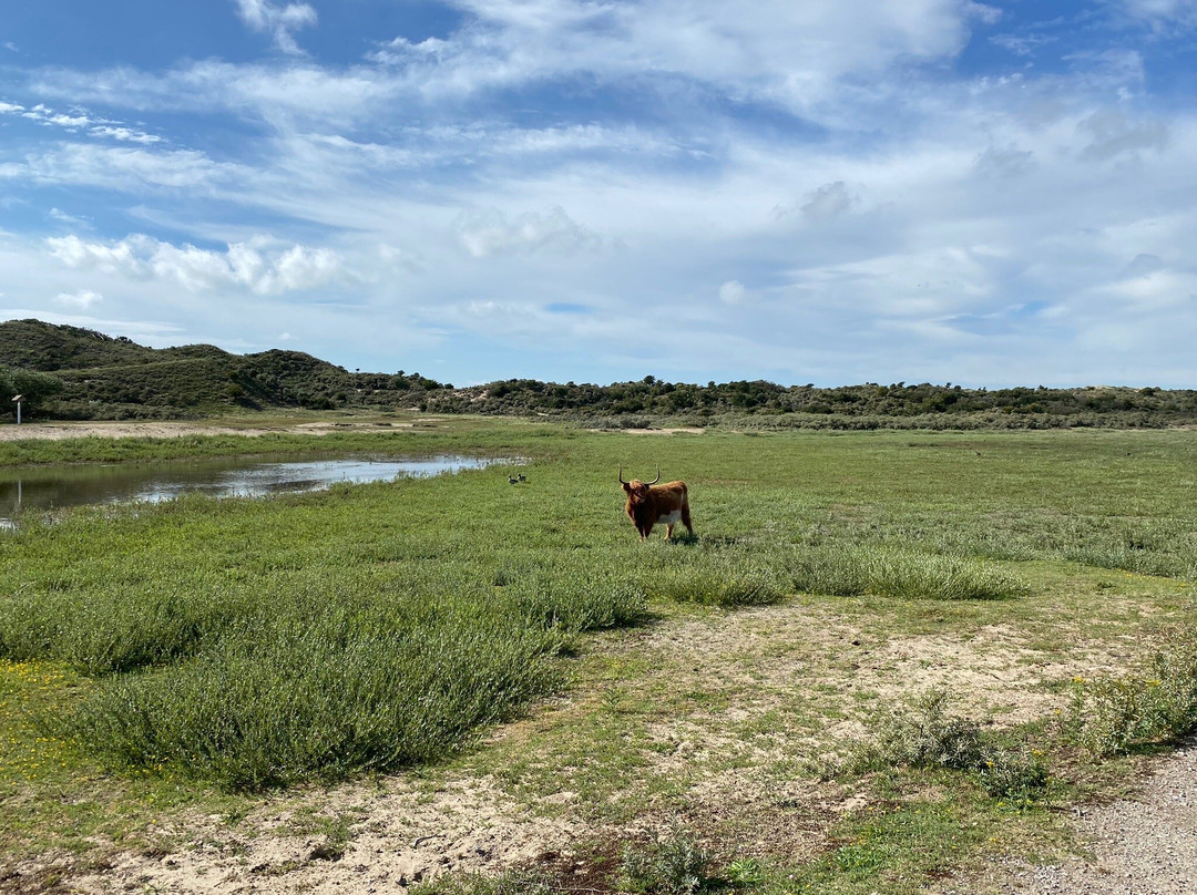 Nationaal Park Zuid Kennemerland-Overveen必去景点