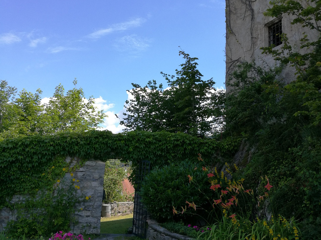 Museum Burg Golling-哥林素萨尔察赫必去景点