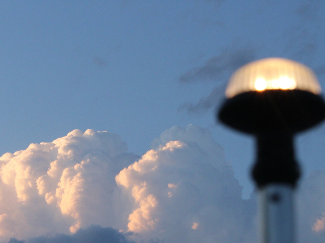 Lake Hartwell Boat Tours-Lavonia必去景点