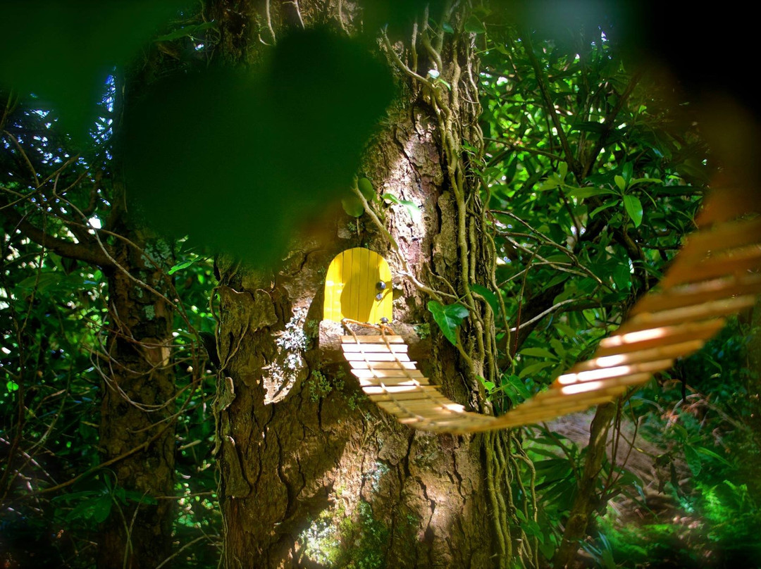 Woodland Faerie Trail景点图片