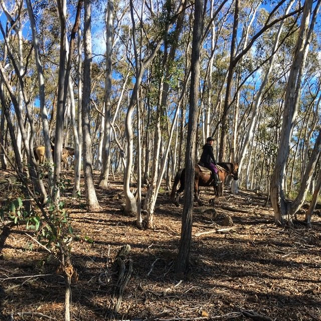 Burnelee Excursions on Horseback-穆任百特曼必去景点