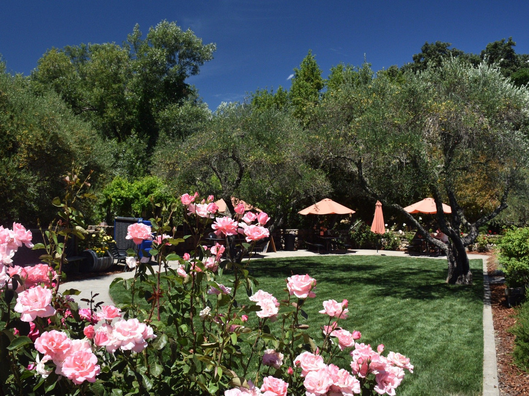 Vincent Arroyo Winery-卡利斯托加必去景点