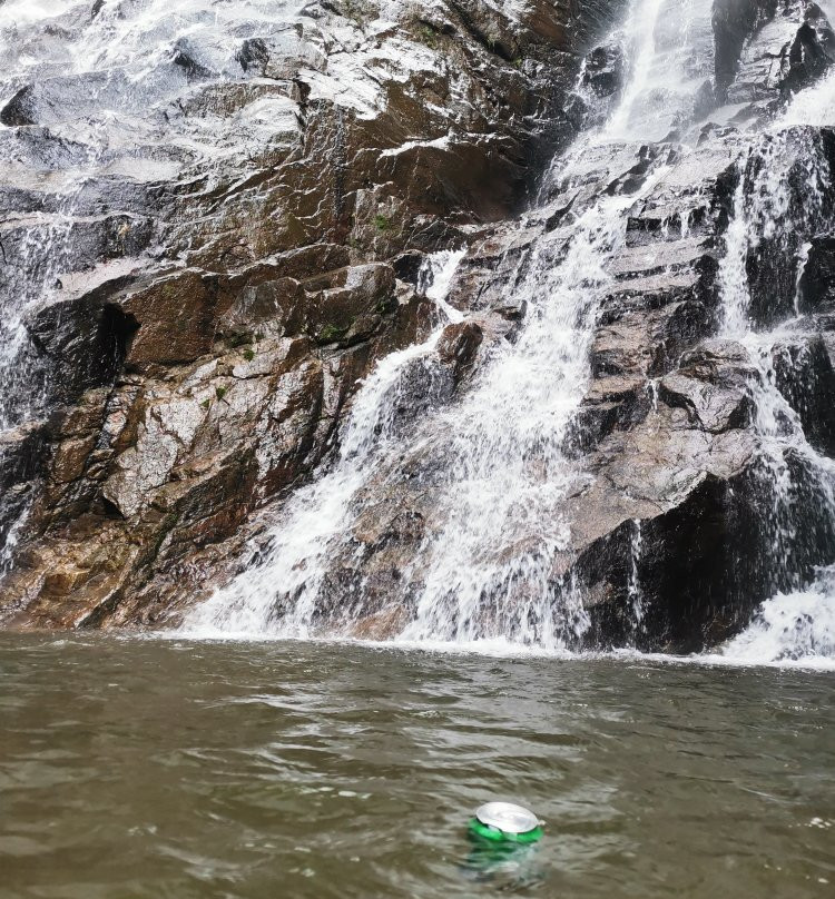 Paradise Eco Garden主图