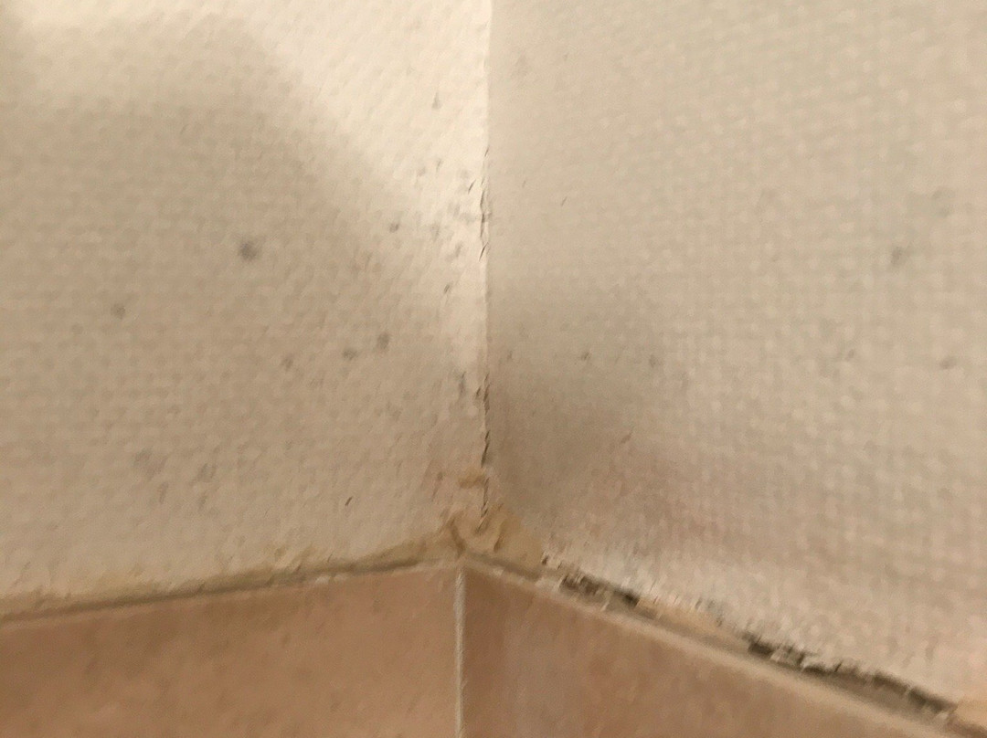 Hôtel Cousseau Parentis En Born主图