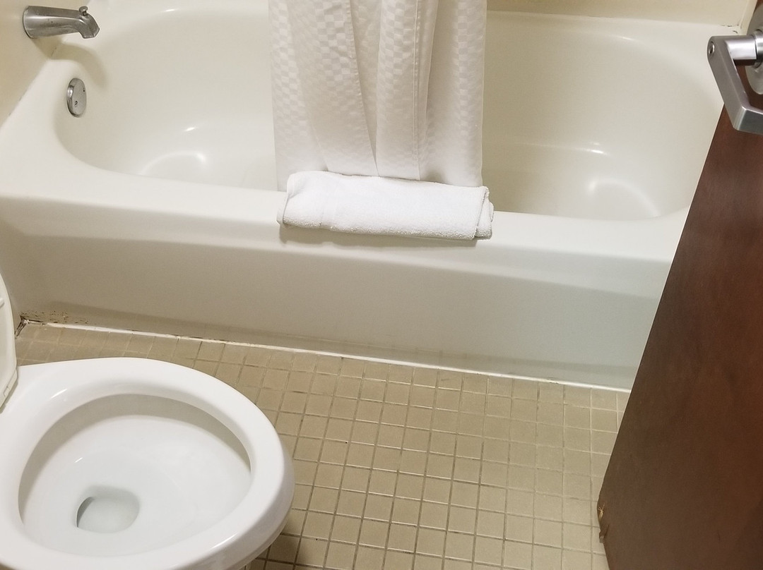 梅特戴斯酒店主图