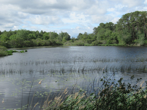Base de Loisirs de Bellebouche-Mezieres-en-Brenne必去景点