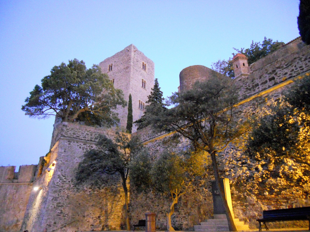 Château Royal de Collioure景点图片