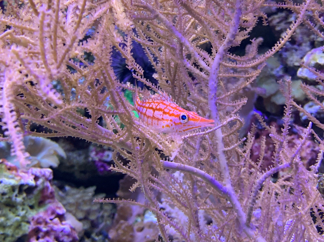 Aqua Zoo Leerdam