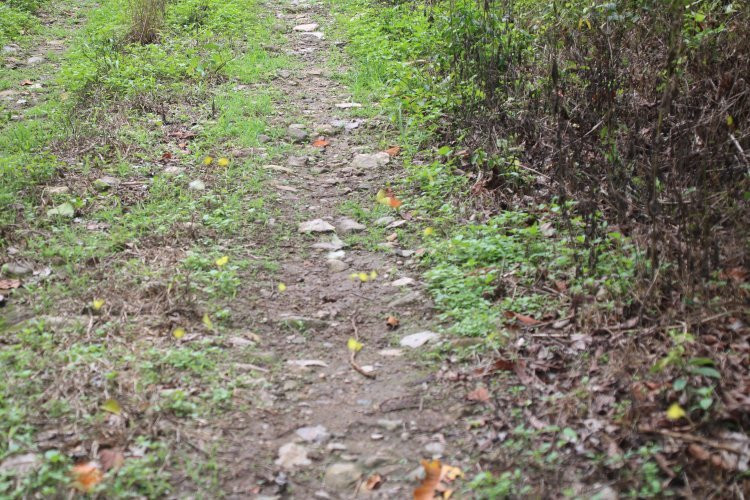 Chu Mom Ray National Park-昆嵩必去景点