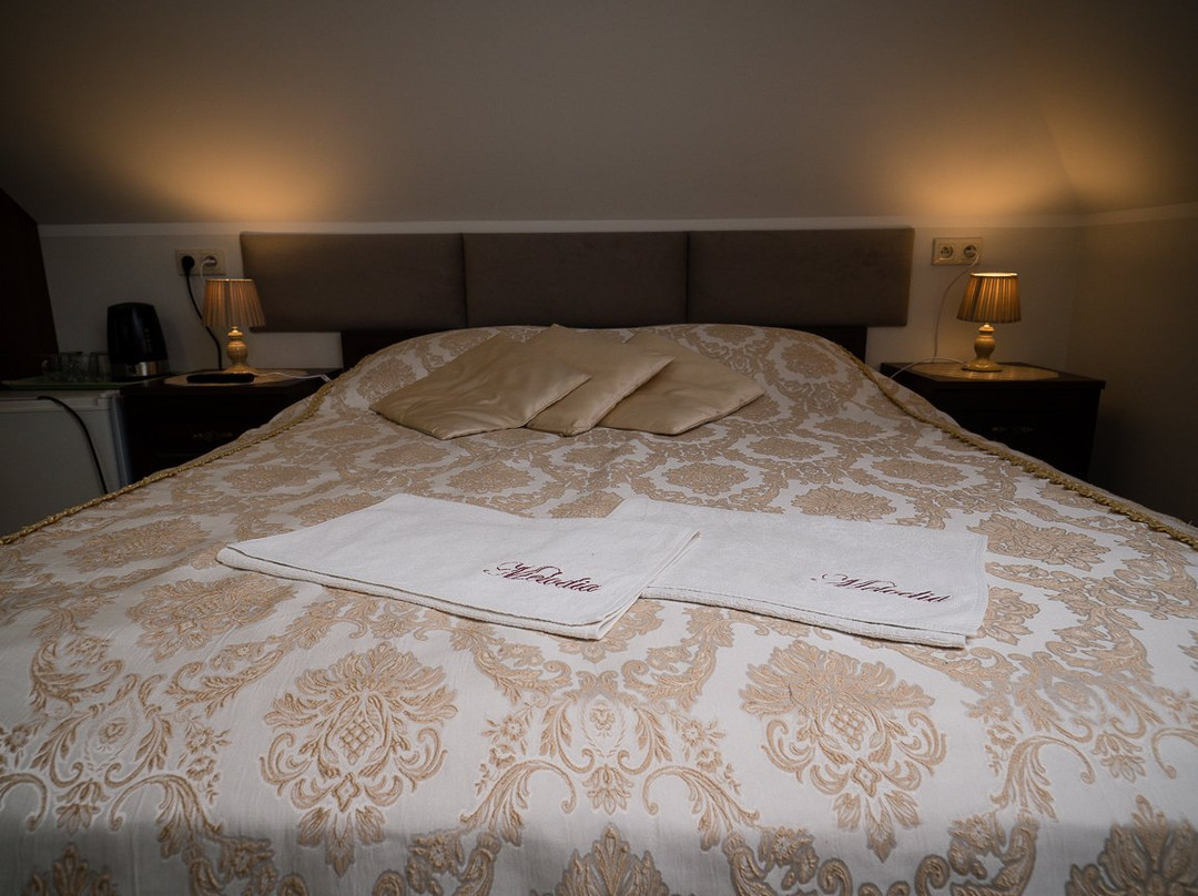 Sala Bankietowa &  Noclegi Melodia主图