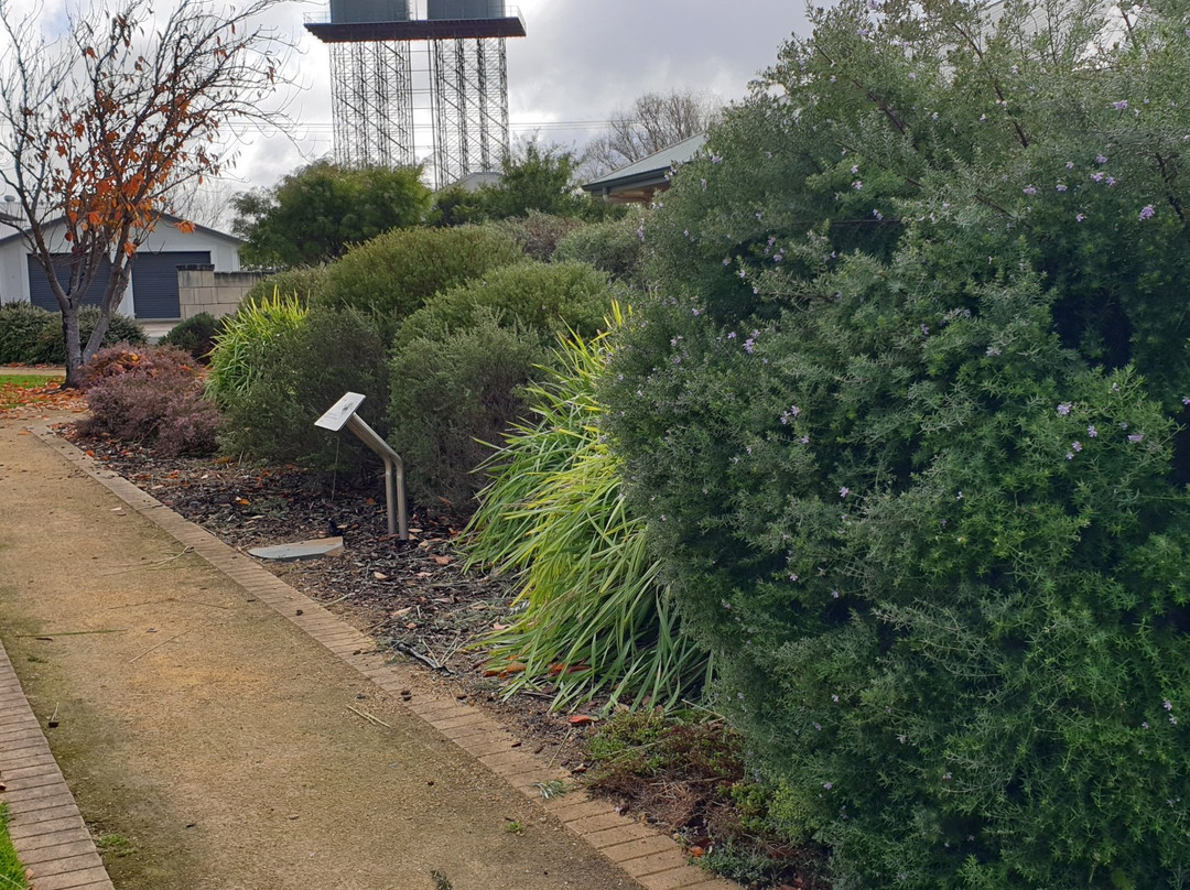 The Mary MacKillop Stable School Park景点图片