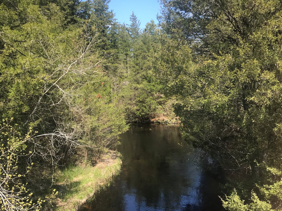 Barnegat Branch Trail景点图片