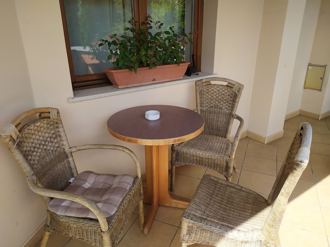 Paulay Winehouse主图