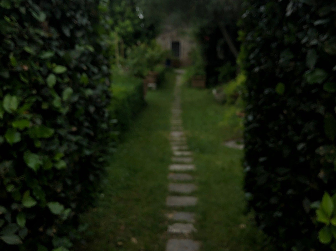 Villa Ridolfi, Attimis, Freschi Di Cuccagna, Piccolomini景点图片